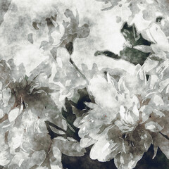 art grunge floral cool sepia vintage paper textured watercolor background with white asters