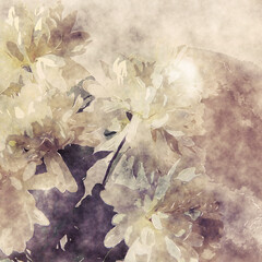 art grunge floral warm sepia vintage paper textured watercolor background with white asters