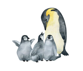 Watercolor Emperor penguin family. Wild northern Antarctic animals. Cute grey bird.