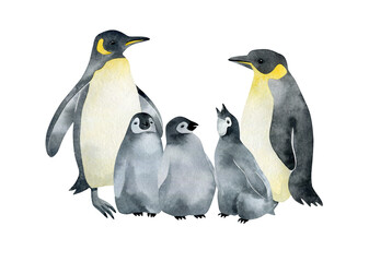 Watercolor Emperor penguin family. Wild northern Antarctic animals. Cute grey bird.