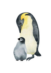 Watercolor Emperor penguin family. Wild northern Antarctic animals. Cute grey bird.