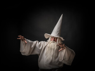 Portrait of a manly and brutal, majestic, old man, sorcerer, wizard with gray hair and a beard with...