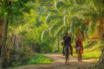 view of two monks riding the horse around with green forest background, Wat Pa Archa Nai or Horse...
