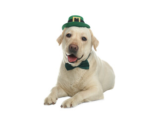 Labrador retriever with leprechaun hat and bow tie on white background. St. Patrick's day