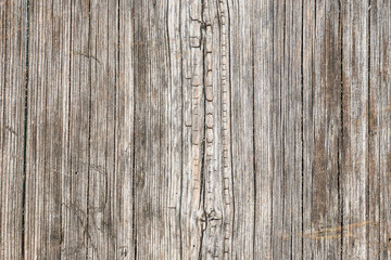 Tree bark texture, old rough wood pattern.