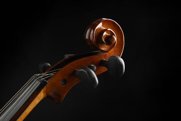 Beautiful violin on black background, closeup view © New Africa