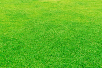 Green grass texture background, Top view of grass garden Ideal concept used for making green flooring, lawn for training football pitch, Grass Golf Courses green lawn pattern textured background.