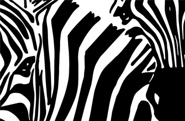 Black and white zebra pattern, lined background,fashion art, vector abstract illustration