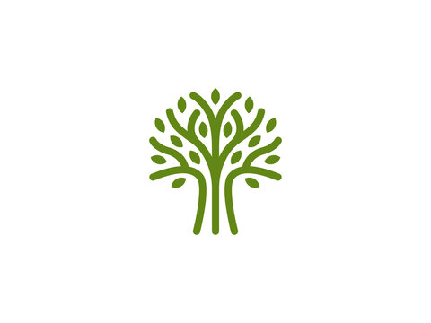 Monogram tree logo vector template. Simple minimalist tree icon line art illustration