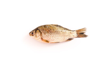 Fresh ingredients crucian carp