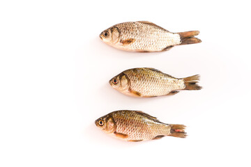 Fresh ingredients crucian carp