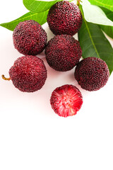 Fresh fruit arbutus