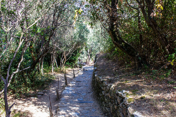 View of the Hiking Trail from Corniglia to Vernazza, Cinque Terre, Italy