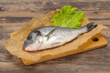 Raw Dorada fish  for cooking