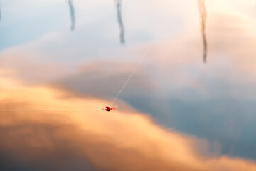 close-up of a float from a fishing rod in the water. reflection in water sunlight and sky