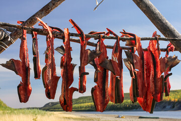 Yukon Territory, Alaska. Salmon spines  drying on a fish rack with Porcupine river in the background. 