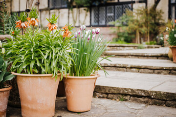 Display of Flowerpots in a Wisley Gardens, England, UK