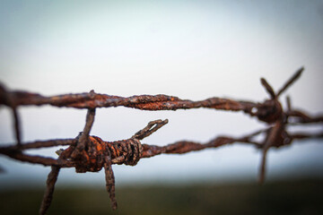 Detail of rust on barbed wire