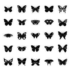 Fototapeta premium Butterfly Famous Species Glyph Icons 