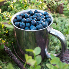 cup of blueberries
