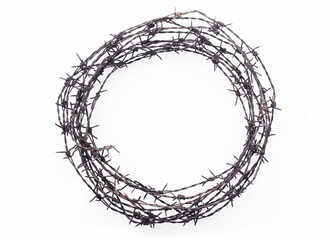 crown of thorns on a white background