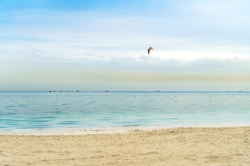 Beautiful landscape of Al Sufouh Beach, one of Dubai's hidden gems. It also has a nickname “Secret Beach