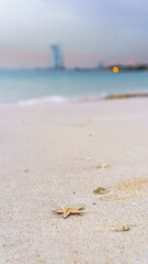 Beautiful landscape of Al Sufouh Beach, one of Dubai's hidden gems. It also has a nickname “Secret Beach