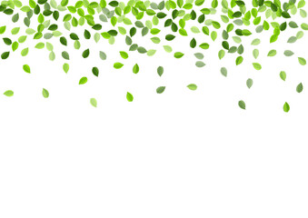 Swamp Greens Flying Vector Border. Transparent 