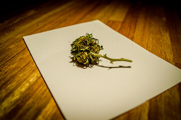 cogollo o flor de cannabis sobre folio blanco y madera