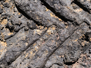 top view of tractor wheel imprint close up in wet soil on edge of freshly plowed field in spring