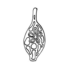 Vector illustration of a Murano glass vase. Isolated on a white background. For a design element.Doodle style. Coloring page for children and adults.