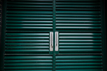 Obraz premium Green iron doors for exteriors