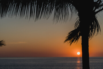 Naklejka na ściany i meble Palme mit Sonnenuntergang Blick aufs Meer in Phuket