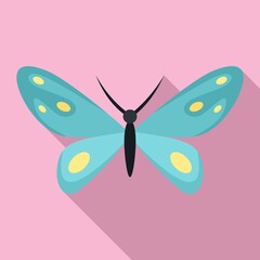 Wedding butterfly icon. Flat illustration of wedding butterfly vector icon for web design