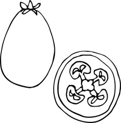 Vector single Acca sellowiana. Exotic fruit whole and in the section.  A sketch of a tropical fruit is isolated on a white background. Doodle style drawing.  Illustrations for books, design, coloring 