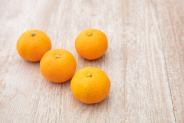 木の上にバラバラにオレンジがのっている　orange デザイン　フルーツ　かわいい