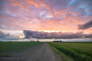 Fototapeta premium Country road in a field under a dramatic colorful sky at sunset