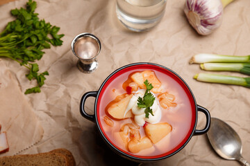 Ukrainian borscht served with sour cream, greenery, rye bread, garlic and vodka or hooch alcohol drink shot. National cuisine concept.