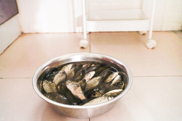 Fresh ingredients crucian carp