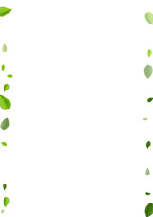 Mint Leaf Motion Vector Branch. Flying Leaves 