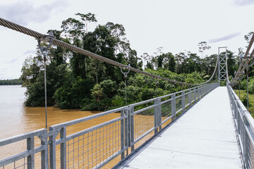 bridge over the river in the amazon, metal structure, large bridges