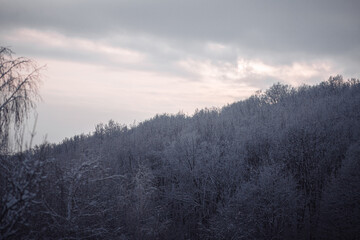 Fototapeta na wymiar Beautiful winter views in mountains. Still life photography shoots.