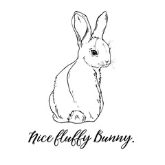 Vector Graphic of a Cute fluffy Bunny. Rabbit,