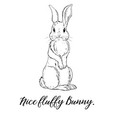 Vector Graphic of a Cute fluffy Bunny. Rabbit,