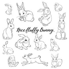 Vector Graphic of a Cute fluffy Bunny. Rabbit,