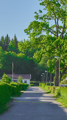 Fototapeta na wymiar Tree over the road and house, Karlskoga, Sweden