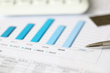 Yearly revenue graph and account