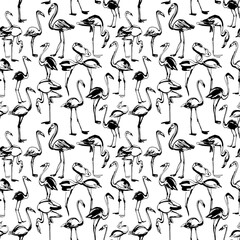 Tropical exotic birds flamingos summer seamless pattern. Black