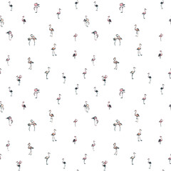 Tropical exotic birds flamingos summer seamless pattern. Black a