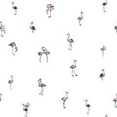 Tropical exotic birds flamingos summer seamless pattern. Black a